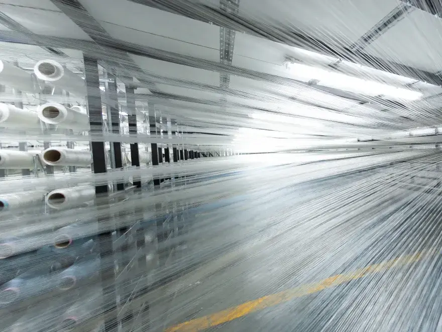 Transformación y Expansión